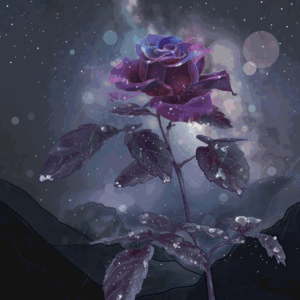 ddmmxxt-9efd3730-6843-448f-a2d3-698faebf1e9a